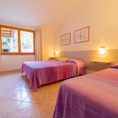 Апартаменты Casa Pepe - Goelba Помонте Экстерьер фото